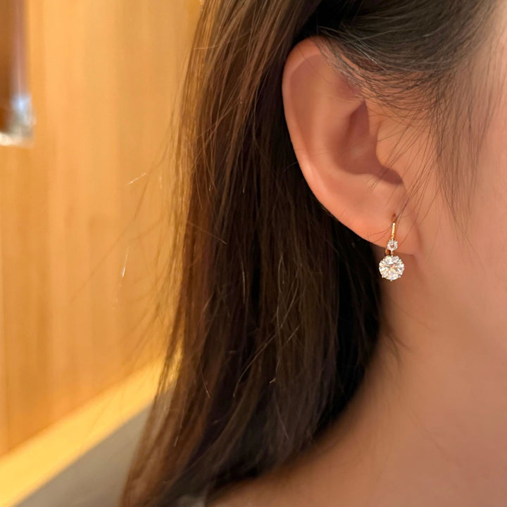 Dual Stone Drop Earrings