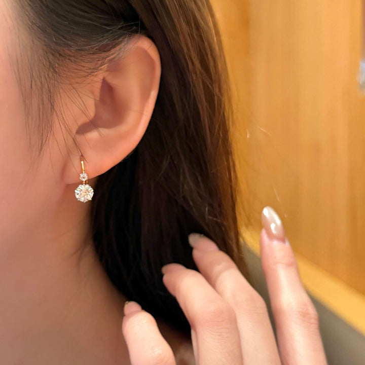 Dual Stone Drop Earrings