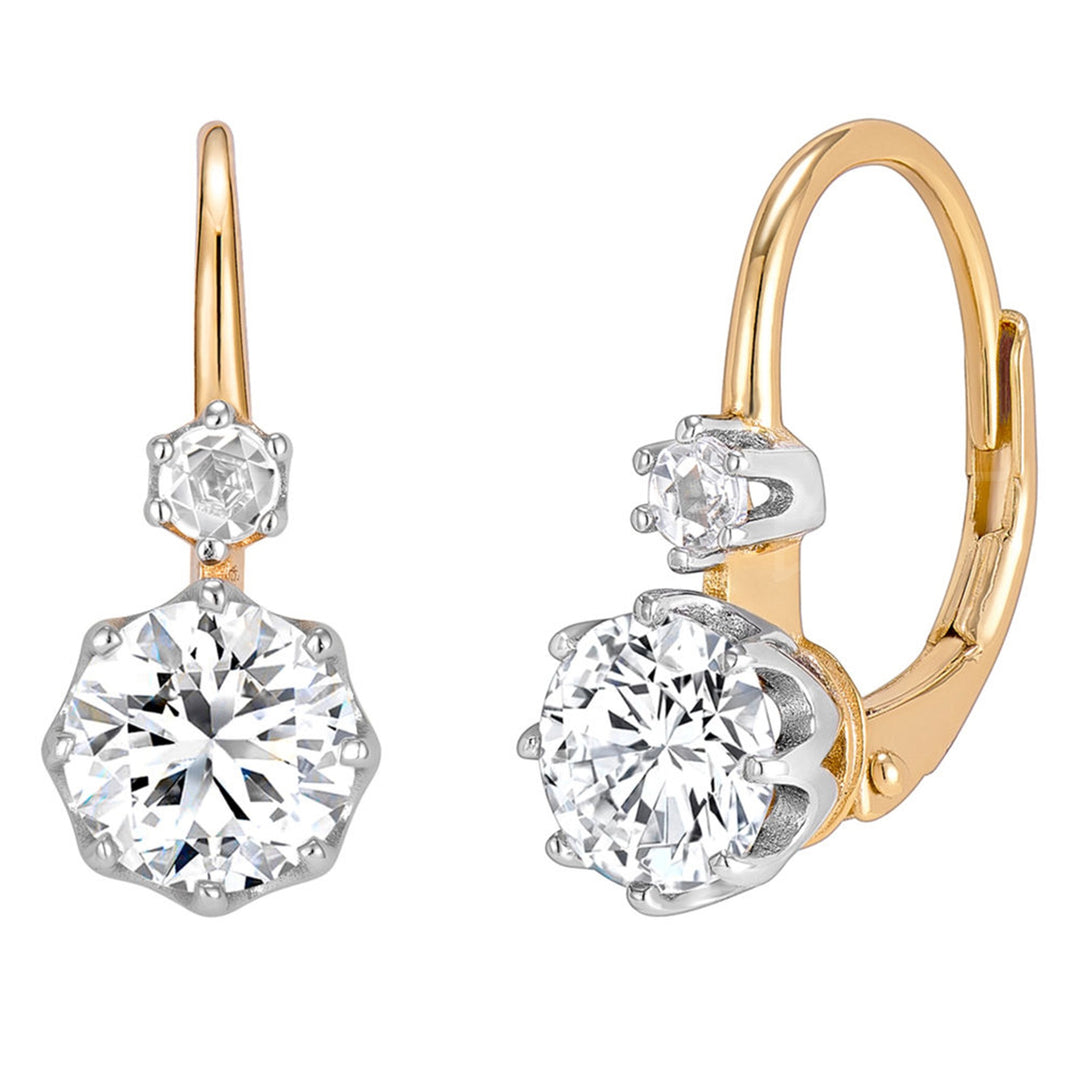 Dual Stone Drop Earrings