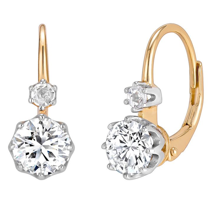 Dual Stone Drop Earrings